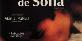 Em A ESCOLHA DE SOPHIA, filme de Alan Pakula de 1982, com Meryl Streep e Kevin Kline. A trilha composta por Marvim Hamlisch não seria a mesma, sem a presença indispensável do oboé que contribui para oferecer um contorno soturno. 