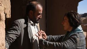 A SEMENTE DO FRUTO SAGRADO, o título do filme é metafórico, numa analogia com o regime iraniano, já que o cineasta lembra de uma figueira da sua infância, ela espalha suas sementes para as outras árvores, matando-as e servindo para que ela possa ressurgir. O